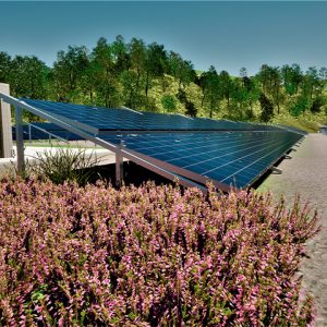 TIJAX - San Gabriel 7